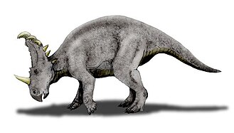 סינוצרטופס Sinoceratops