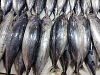 Filipin balık pazarında Skipjack ton balığı (Katsuwonus pelamis ).jpg
