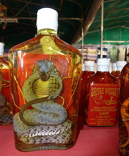 Tập_tin:Snake_wine_P1110605.JPG