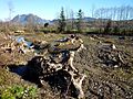 Land restoration (Fluss-Renaturierung) of the river Iller near the city Sonthofen and Grünten (November 2012)