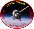 Miniatura para Soyuz TMA-11