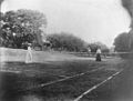 StateLibQld 1 292823 Grass court tennis, ca. 1905.jpg