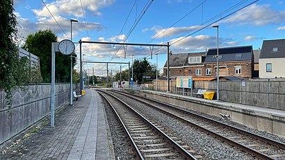 Comment aller à Station Sint-Gillis en transport en commun - A propos de cet endroit