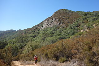 Stebbins Cold Canyon Reserve Unit of the University of California Natural Reserve System