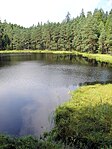 Suchary Lake, Poland