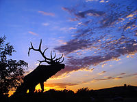 Sonnenuntergang Laguna Blvd.jpg