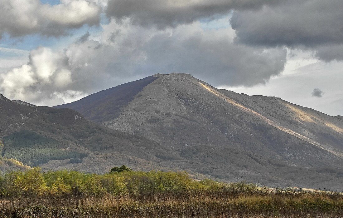 Suva planina