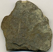 Tasmanite (Quamby deposit) Tasmanite oil shale (kerogenite) (Quamby Mudstone, Lower Permian; at or near Quamby Brook, northern Tasmania) 1 (15015293186).jpg