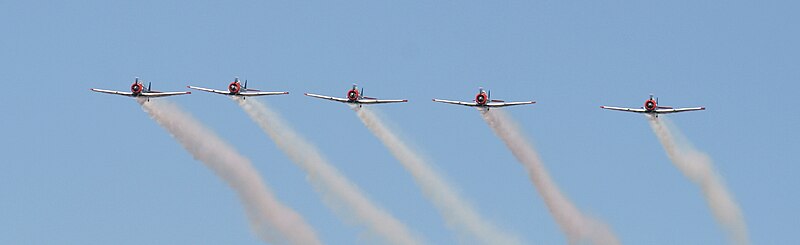 File:The Flying Lions in Formation.jpg