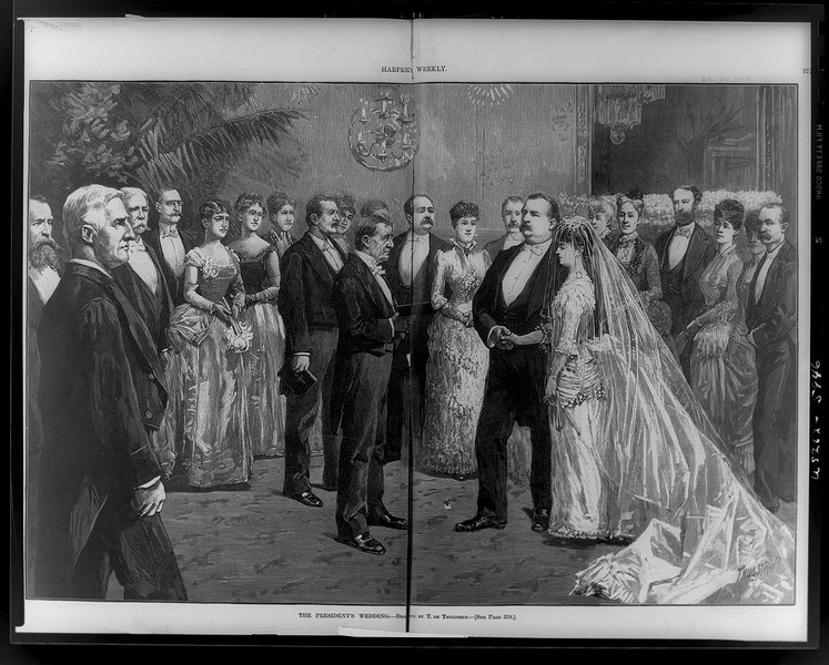 File:The President's wedding - (drawn) by T. de Thulstrup. LCCN96521736.tif