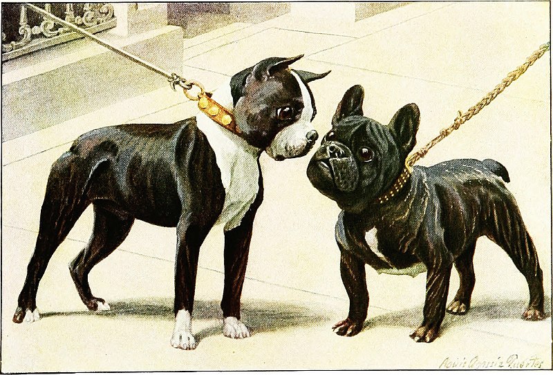 File:The book of dogs; an intimate study of mankind's best friend (1919) (20551073158).jpg