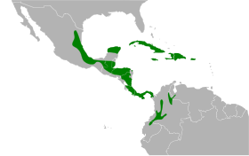 Distribución geográfica del semillero tomeguín.