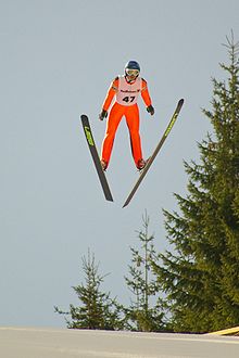 Tobias Kammerlander Eisenerz 2008a.jpg