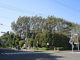 屯田西公園