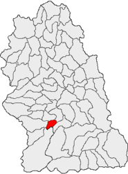 Umístění v Hunedoara County