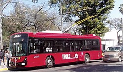 avila bus linea 3