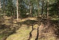 tussen Westerlohmühlen en Klein Berssen, in het bos