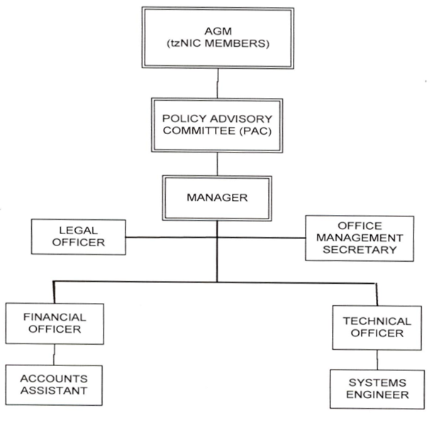 File:TzNIC Orgstruc.png