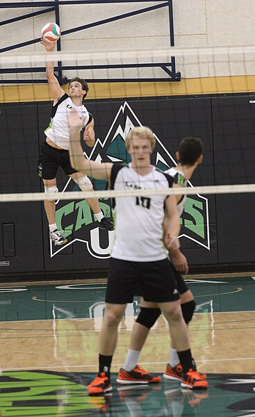 File:UFV men's volleyball vs Cap Nov 7 2014 37 (15140946824).jpg