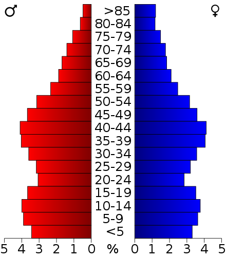 2000 Census Age Pyramid for Rock County