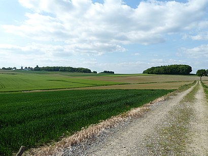 Hoe gaan naar Vrouwenheide met het openbaar vervoer - Over de plek