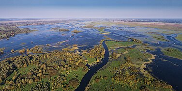 Wetland (aerial view) Ujscie Warty PN 09-2017 img10.jpg