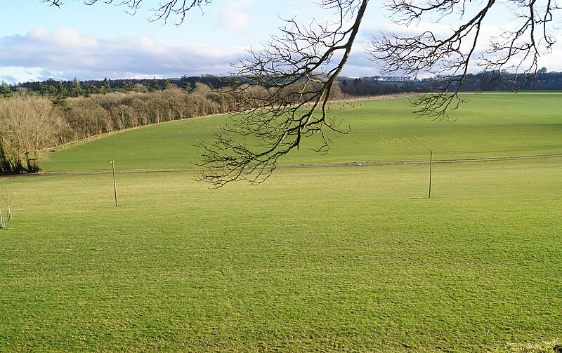 File:View across Sydmonton Estate - geograph.org.uk - 3857895.jpg