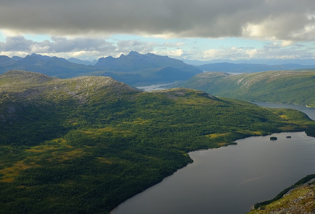 Veggfjellan