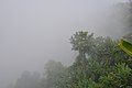 View of Nilachal hill after rain, Bandarban (2).jpg