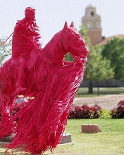 <span class="mw-page-title-main">Texas Tech University traditions</span> Aspect of Texas Tech University culture