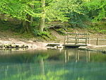 Ludshott Common and Waggoners Wells