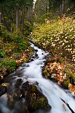 Wahkeena Falls, Oregon, United States (October 31)