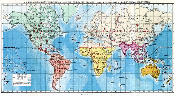 A map of the zoogeographical realms by Alfred Russel Wallace, which practically correspond to the biogeographic provinces developed by Miklos Udvardy. .mw-parser-output .legend{page-break-inside:avoid;break-inside:avoid-column}.mw-parser-output .legend-color{display:inline-block;min-width:1.25em;height:1.25em;line-height:1.25;margin:1px 0;text-align:center;border:1px solid black;background-color:transparent;color:black}.mw-parser-output .legend-text{}  Nearctic   Palearctic   Ethiopian (Afrotropic)   Oriental (Indomalaya)   Australian (Australasia and Oceania)   Neotropic