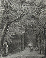 English: Illustration from Ward & Lock's Illustrated Guide to, and Popular History of the Channel Islands (1882) - "Vinchelez Lane, Jersey"