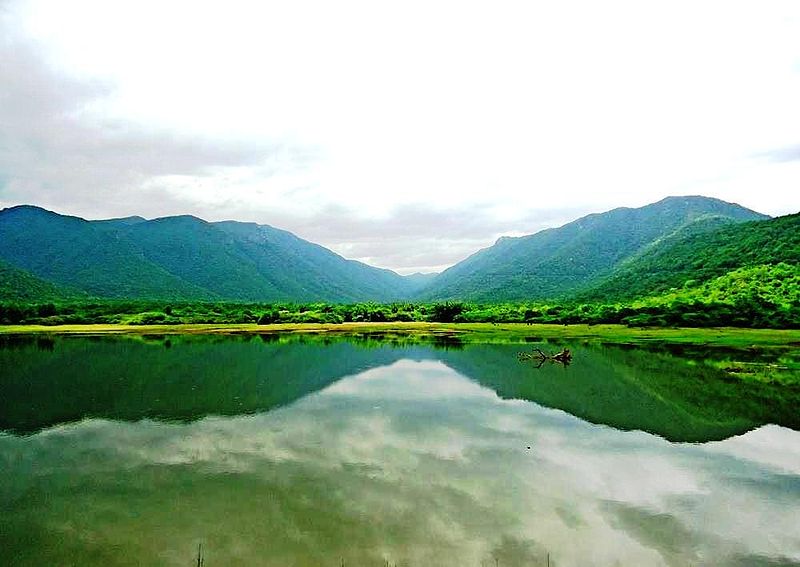 File:Westernghats river gobi.jpg