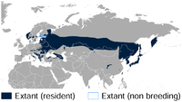 Área de distribución mundial do peto de dorso branco[2]