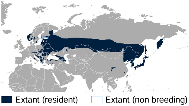 Área de distribución mundial do peto de dorso branco