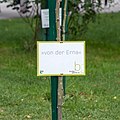 * Nomination Volksgarten, Vienna, Austria --XRay 00:31, 24 July 2018 (UTC) * Promotion  Support Good quality. -- Johann Jaritz 01:59, 24 July 2018 (UTC)