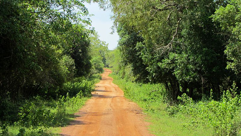 File:WilpattuNationalPark-April2014 (2).JPG