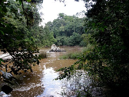 Yala River