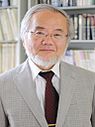 Yoshinori Ōsumi