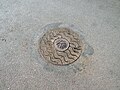 * Nomination: Manhole cover at Ryabovskoe Highway, Saint Petersburg. --Екатерина Борисова 01:13, 6 May 2024 (UTC) * * Review needed