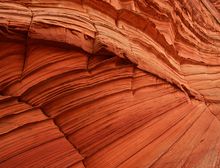 Thin ridges created by the erosion of differentially cemented, large-scale eolian cross bedding within Navajo sandstone "The Wave".jpg