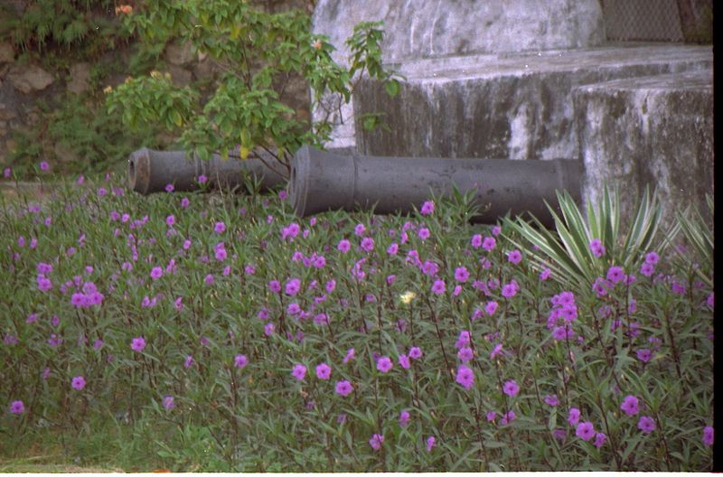 File:,e acreditam nas flores, vencendo o canhão... - panoramio.jpg