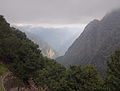 * Nomination Samaria Gorge. I know there's some chroma noise in the shadows, I hope it's acceptable.--C messier 18:31, 3 February 2015 (UTC) Strong CA and left crop can be improved (post) Poco a poco 19:31, 3 February 2015 (UTC) Done --C messier 19:47, 3 February 2015 (UTC) Better but not totally gone, see notes. Poco a poco 20:50, 3 February 2015 (UTC) Done --C messier 14:22, 4 February 2015 (UTC) * Promotion Good quality. --Poco a poco 19:27, 6 February 2015 (UTC)