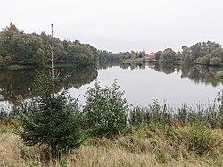 Пруд на реке Рогожке в Новоселках