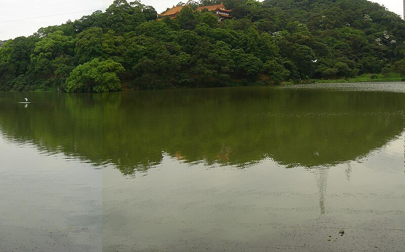 File:金龍湖與北峰寺及白鷺鷥20100425.jpg