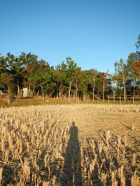 File:0665jfLandscapes Mabalas Diliman Salapungan San Rafael Bulacan Roadsfvf 07.JPG