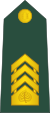 07-Slovenian Army-MSG.svg