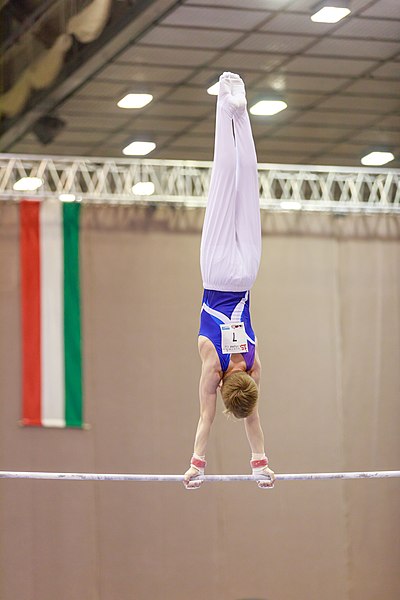 File:15th Austrian Future Cup 2018-11-24 Aidan Jordaan (Norman Seibert) - 10922.jpg